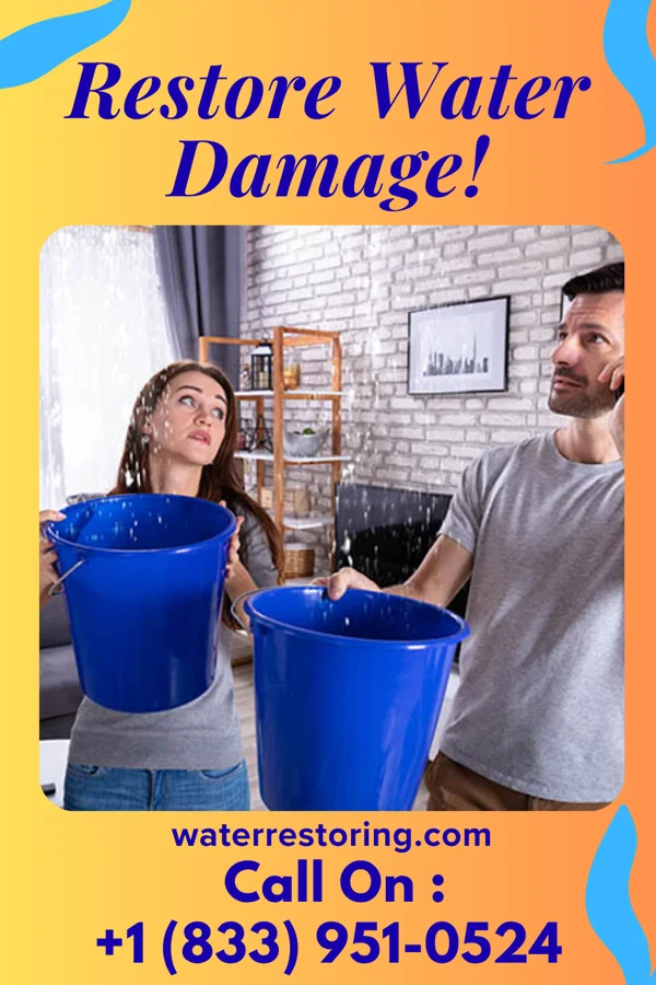 water restoration Citywide Water Repair Company Oolitic