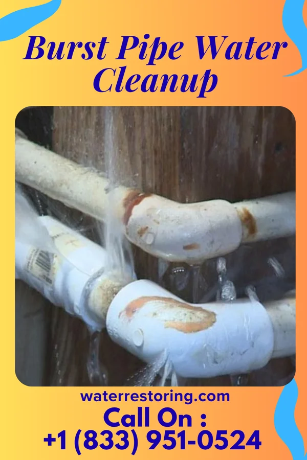 Burst Pipe Water Cleanup in Oolitic, IN