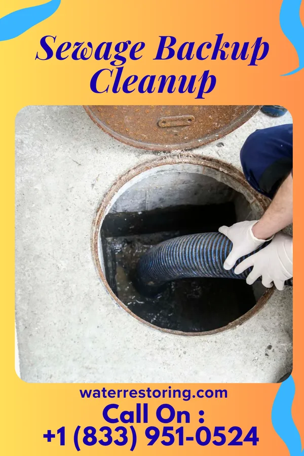 Sewage Backup Cleanup in Oolitic, IN