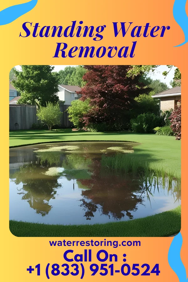 Standing Water Removal in Oolitic, IN